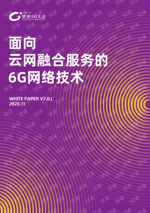 面向云網融合服務的6G網絡安全咨詢服務